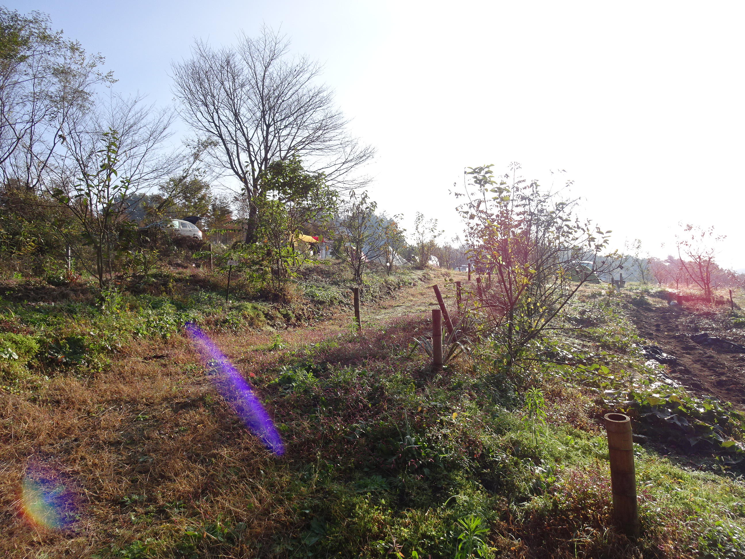 三 神社 に 強 つの た すぎ なっ て が 霊感 クビ